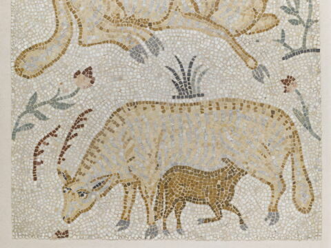 mosaïque, image 3/3
