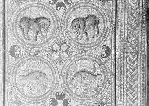 Mosaïque de Qabr Hiram, image 57/65