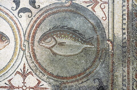 Mosaïque de Qabr Hiram, image 6/65