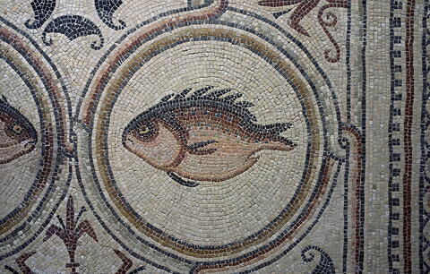 Mosaïque de Qabr Hiram, image 13/65