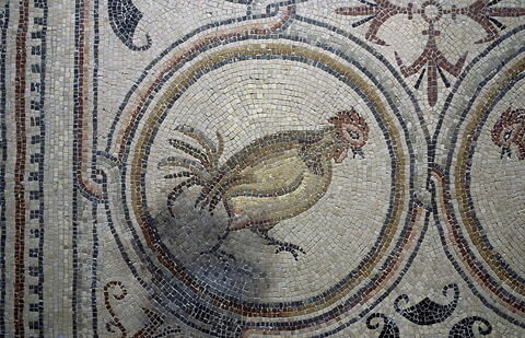 Mosaïque de Qabr Hiram, image 14/65