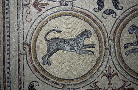 Mosaïque de Qabr Hiram, image 20/65