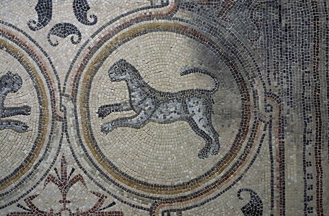 Mosaïque de Qabr Hiram, image 21/65