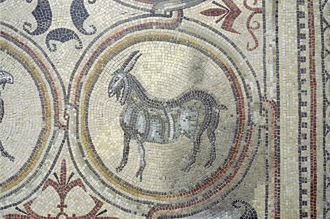 Mosaïque de Qabr Hiram, image 34/65