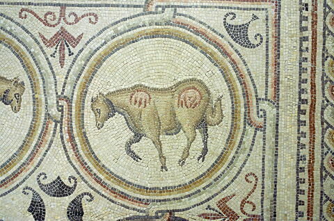 Mosaïque de Qabr Hiram, image 35/65