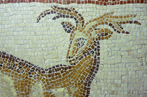 Mosaïque de Qabr Hiram, image 43/65