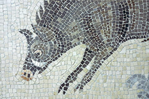 Mosaïque de Qabr Hiram, image 53/65