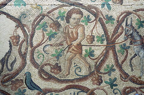 Mosaïque de Qabr Hiram, image 30/42