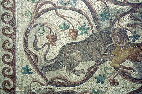 Mosaïque de Qabr Hiram, image 32/42