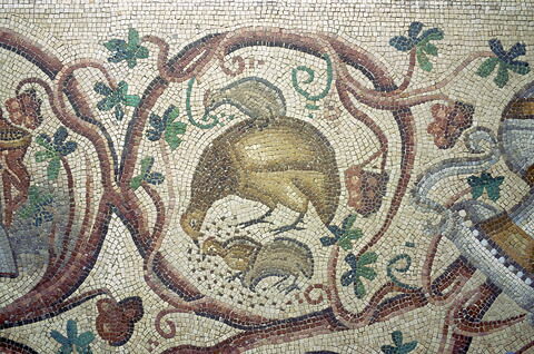 Mosaïque de Qabr Hiram, image 40/42