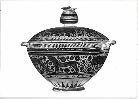 pyxis, image 7/10