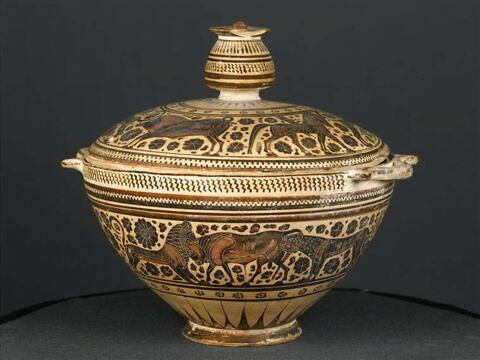 pyxis, image 2/10