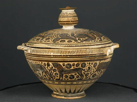 pyxis, image 4/10