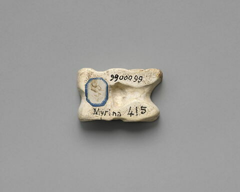 osselet, image 2/2