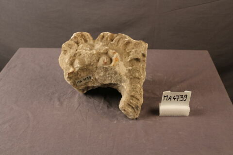 chéneau, image 2/2