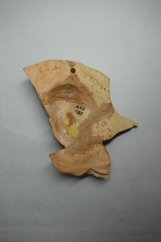 oscillum, image 2/2
