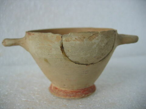 cotyle, image 2/2