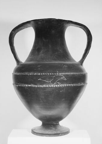amphore