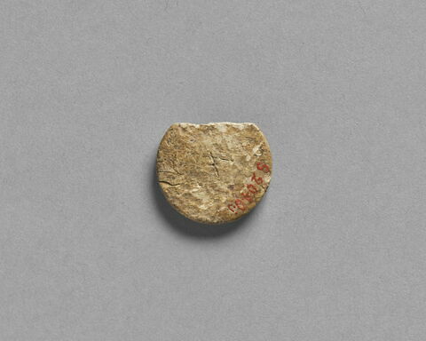 pion, image 2/2