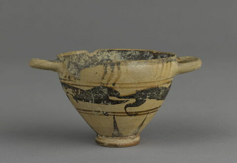 cotyle, image 6/9