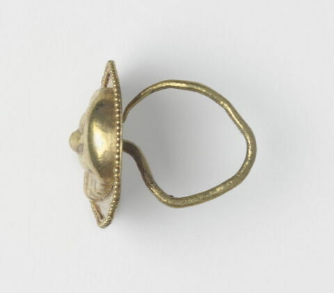 bouton, image 2/2