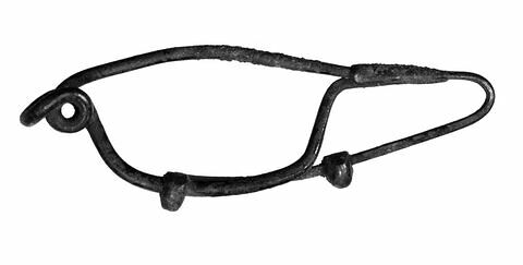 fibule