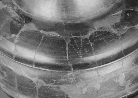 amphore, image 4/7
