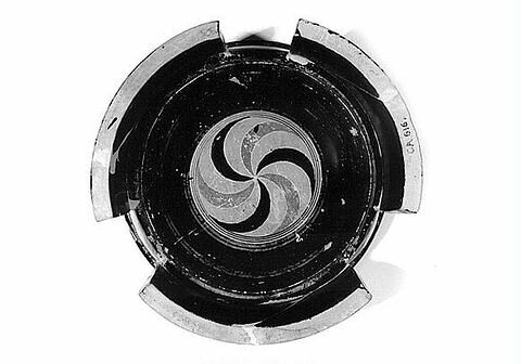 exaleiptron du Peintre C, image 5/5