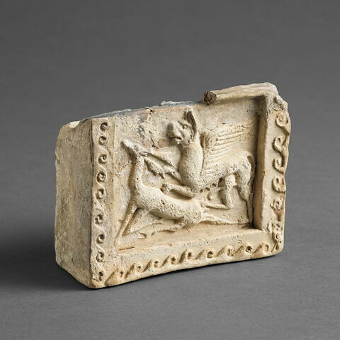 arula, image 3/7