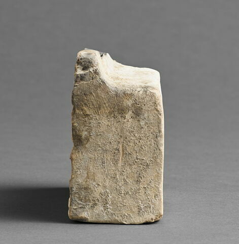 arula, image 6/7