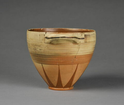 cotyle, image 3/4