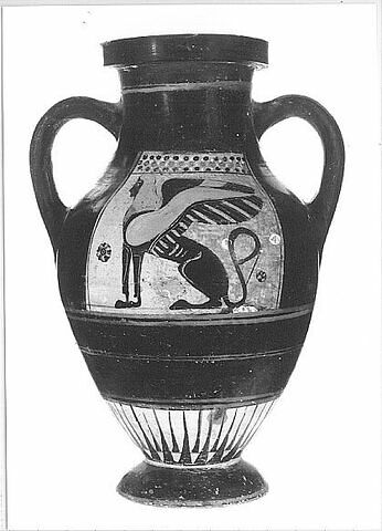 amphore, image 6/6