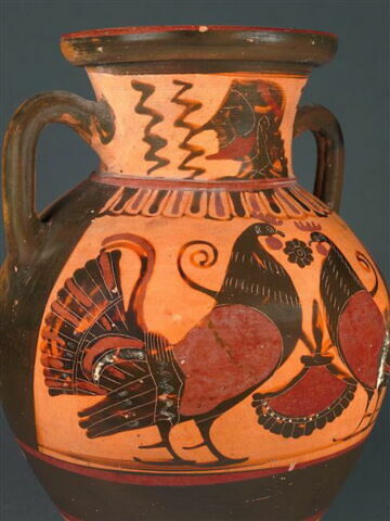 amphore, image 4/4