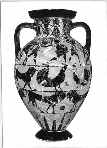 amphore, image 5/8