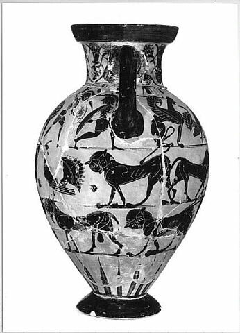 amphore, image 7/8
