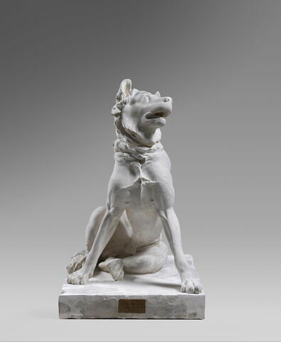 molosse du Belvedere, image 2/7