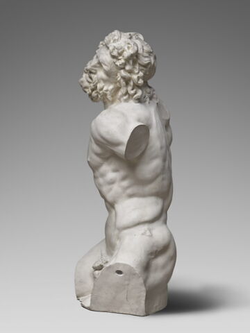 tirage du torse de Laocoon, image 5/5