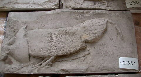 Tirage d’une plaque représentant un coq, image 2/2