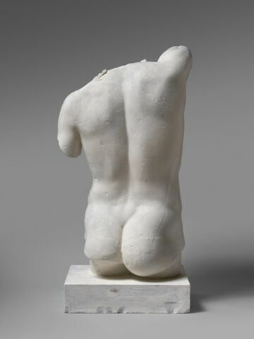Tirage intégral d’un torse masculin, image 2/4
