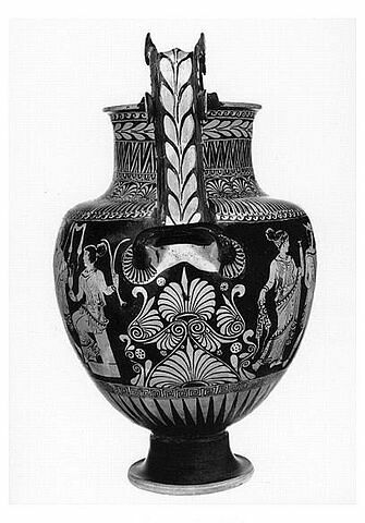 nestoris, image 4/4