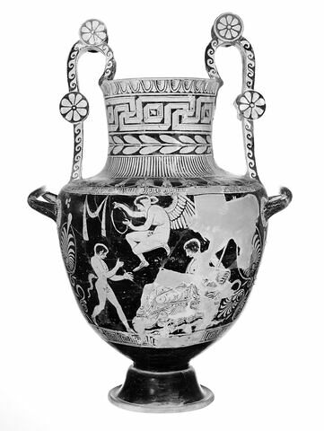 nestoris, image 11/14