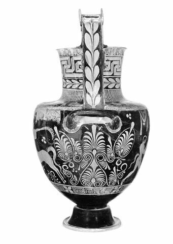 nestoris, image 13/14