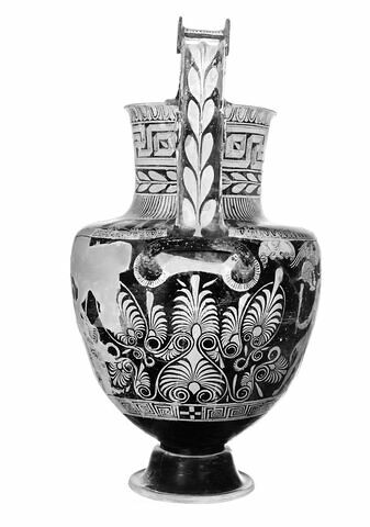 nestoris, image 14/14