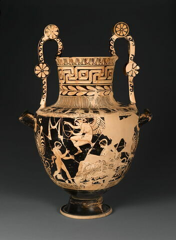nestoris, image 4/14