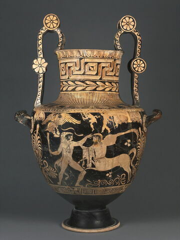 nestoris, image 5/14