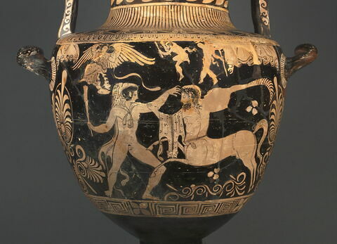 nestoris, image 6/14