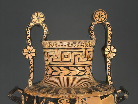 nestoris, image 10/14