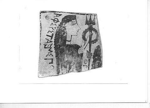 pinax, image 3/3