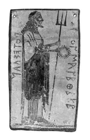 pinax, image 3/6