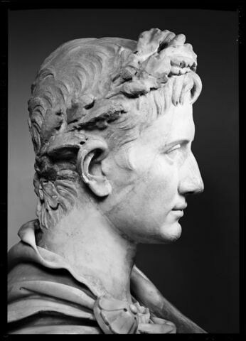 Buste d'Auguste, image 14/14